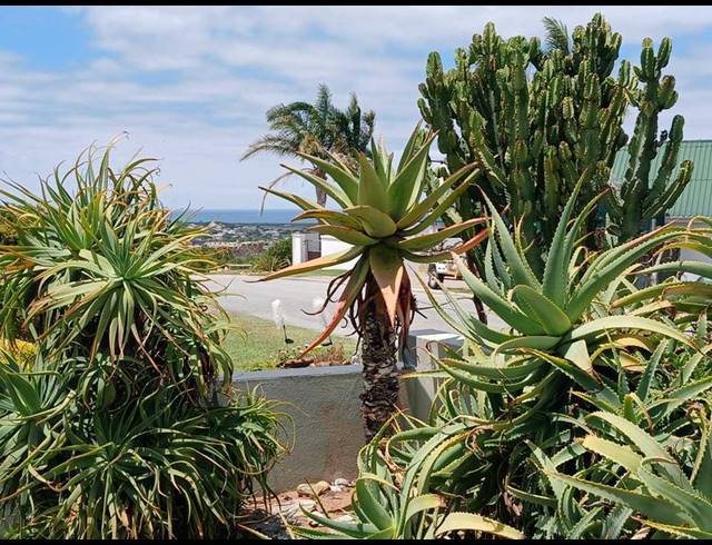 3 BEDROOM HOUSE FOR SALE IN STILBAAI-WES